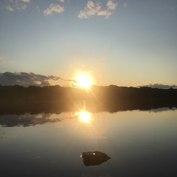 Meet your Posher, Bailey - Picture 1 of 1